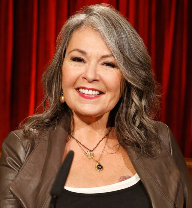 Roseanne Barr Net Worth 2023 Detailed Breakdown and Analysis